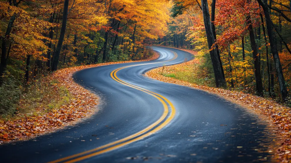 winding road through autumn woods into distance